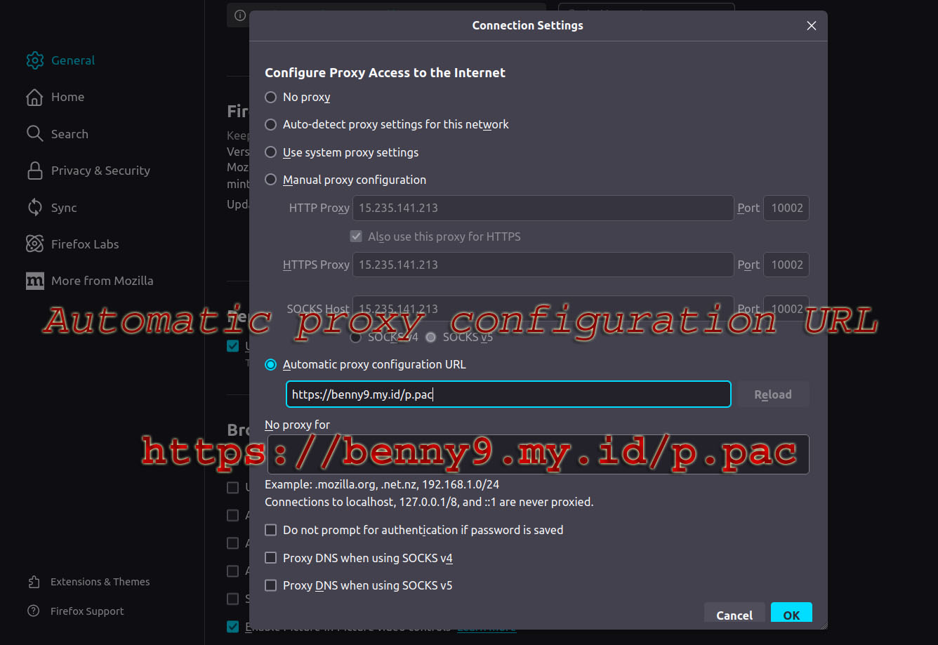 proxybrowserPac.jpg